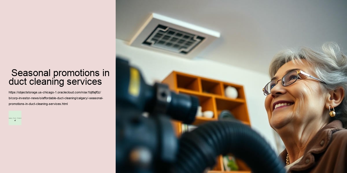  Seasonal promotions in duct cleaning services