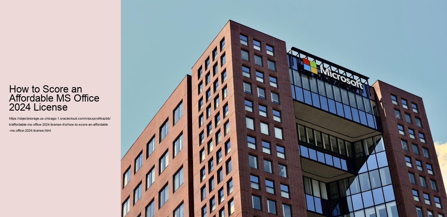 How to Score an Affordable MS Office 2024 License
