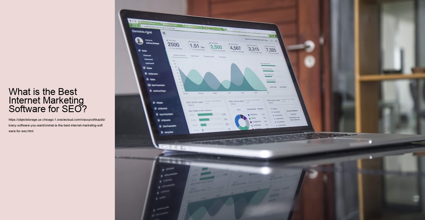 What is the Best Internet Marketing Software for SEO?