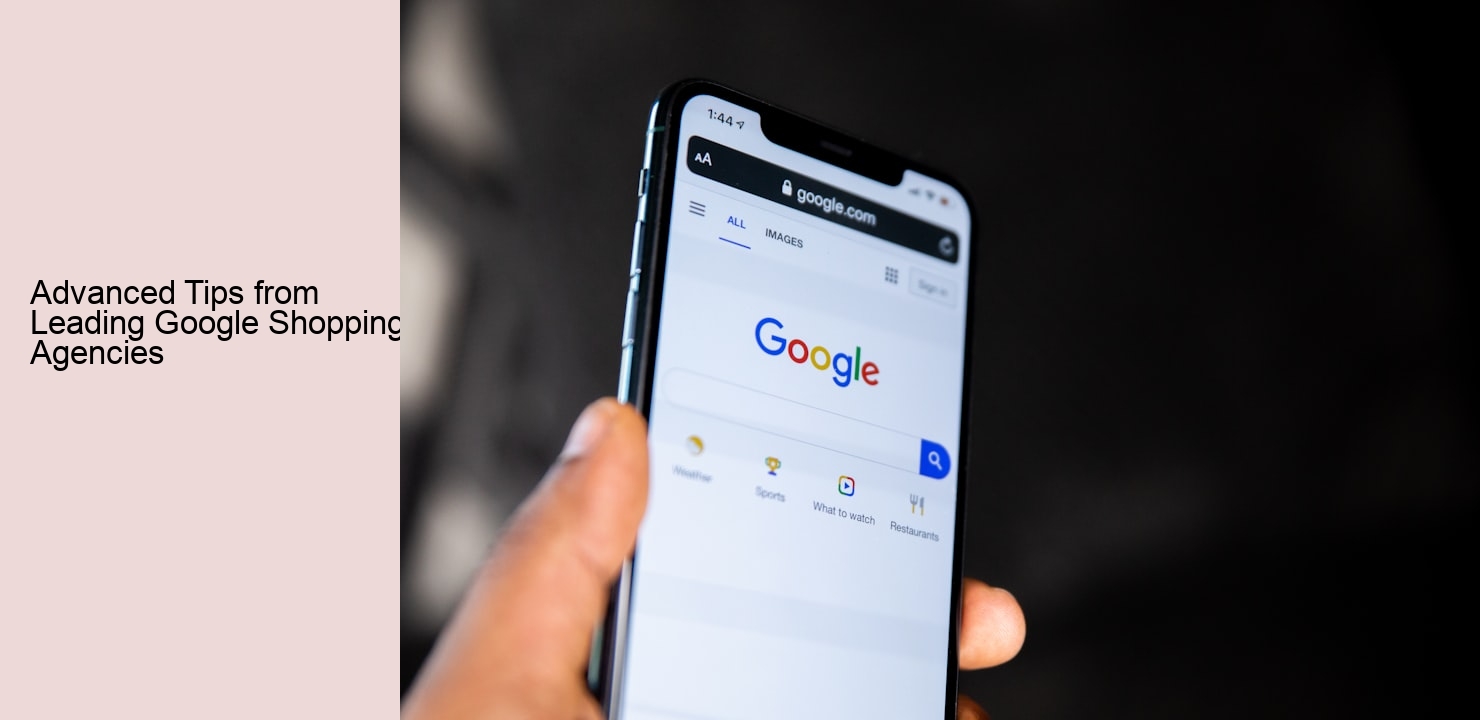 Advanced Tips from Leading Google Shopping Agencies
