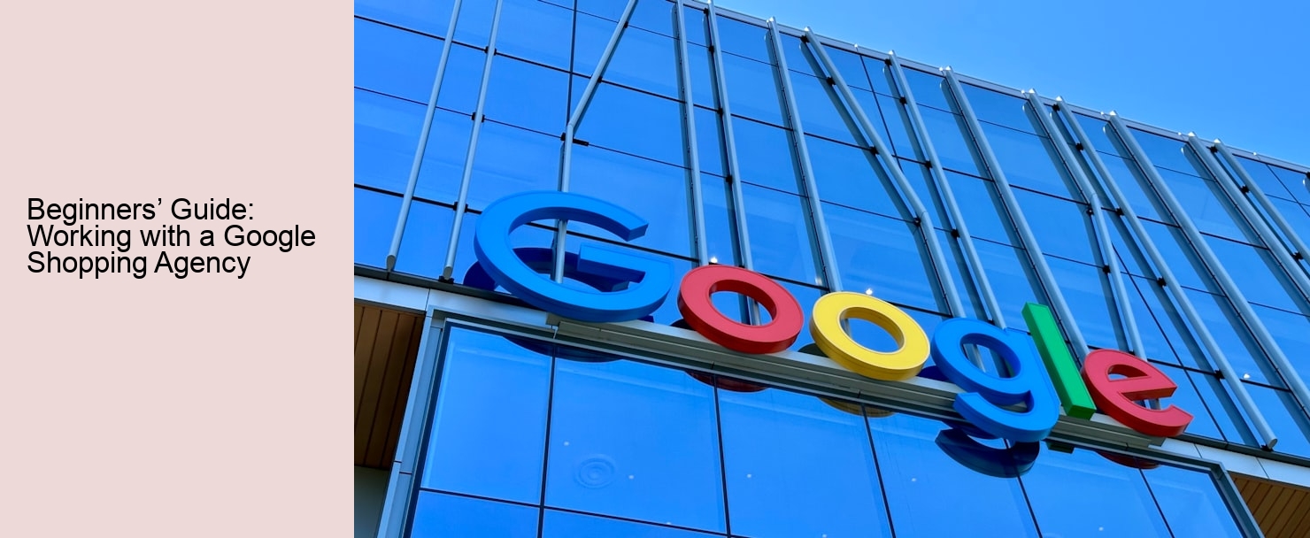 Beginners’ Guide: Working with a Google Shopping Agency Beginners’ Guide: Working with a Google Shopping Agency