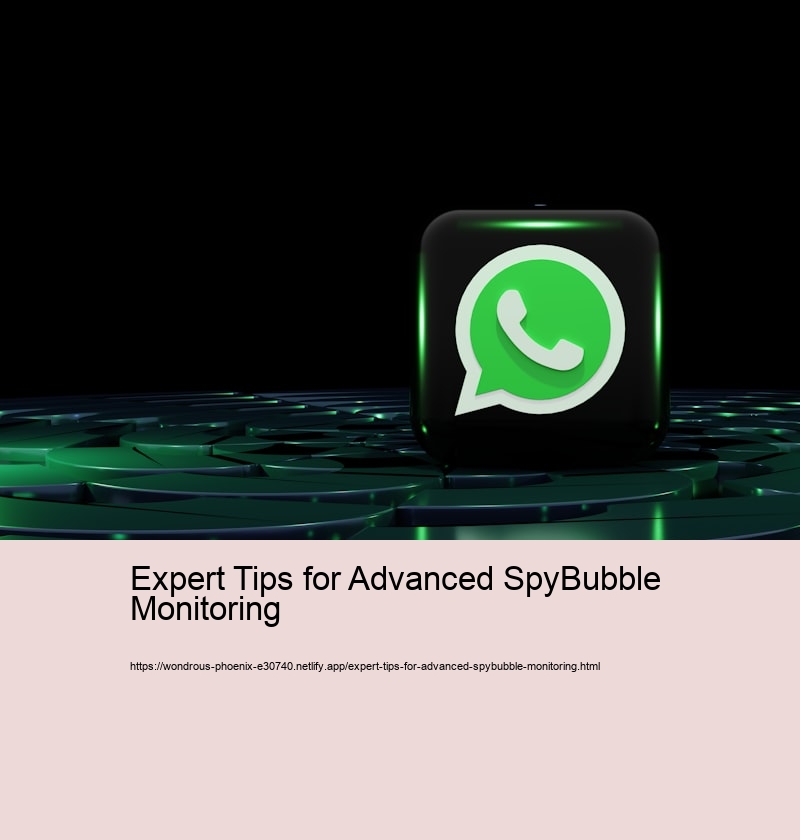 Advanced Features of SpyBubble: A Deep Dive