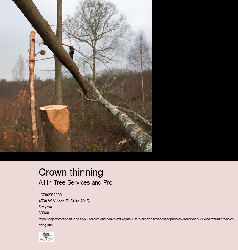 Understanding the Purpose of Crown Thinning