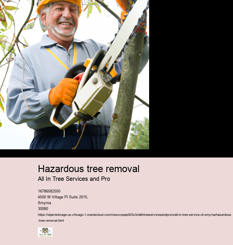 Identifying signs of a hazardous tree
