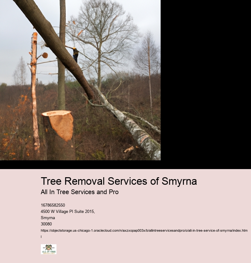 Tree Removal Services of Smyrna