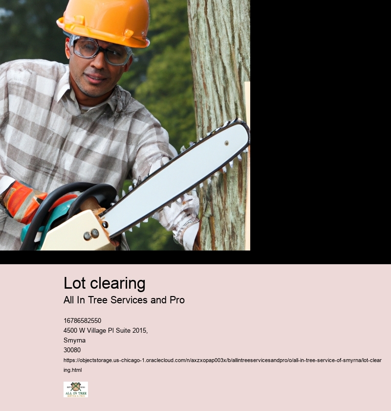 Importance of lot clearing for property maintenance