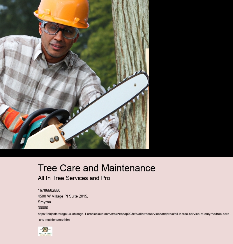 Importance of Tree Care and Maintenance