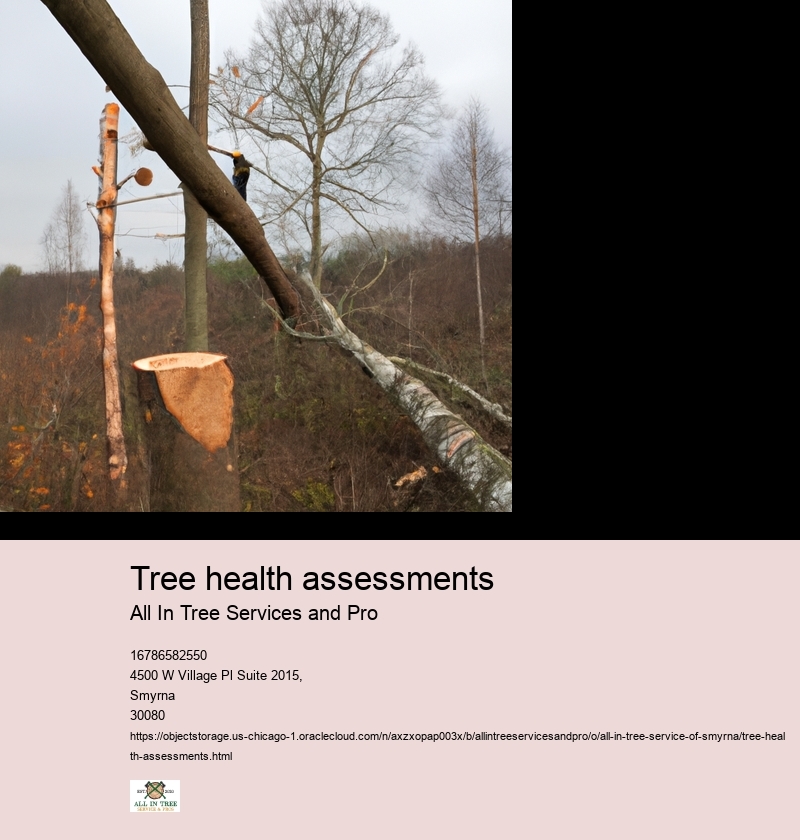 Importance of assessing tree health