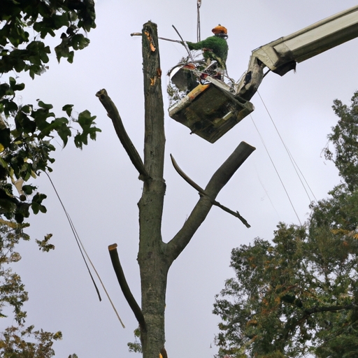 What is All In Tree Service and what services do they offer?