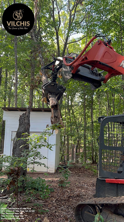 Techniques for proper tree pruning