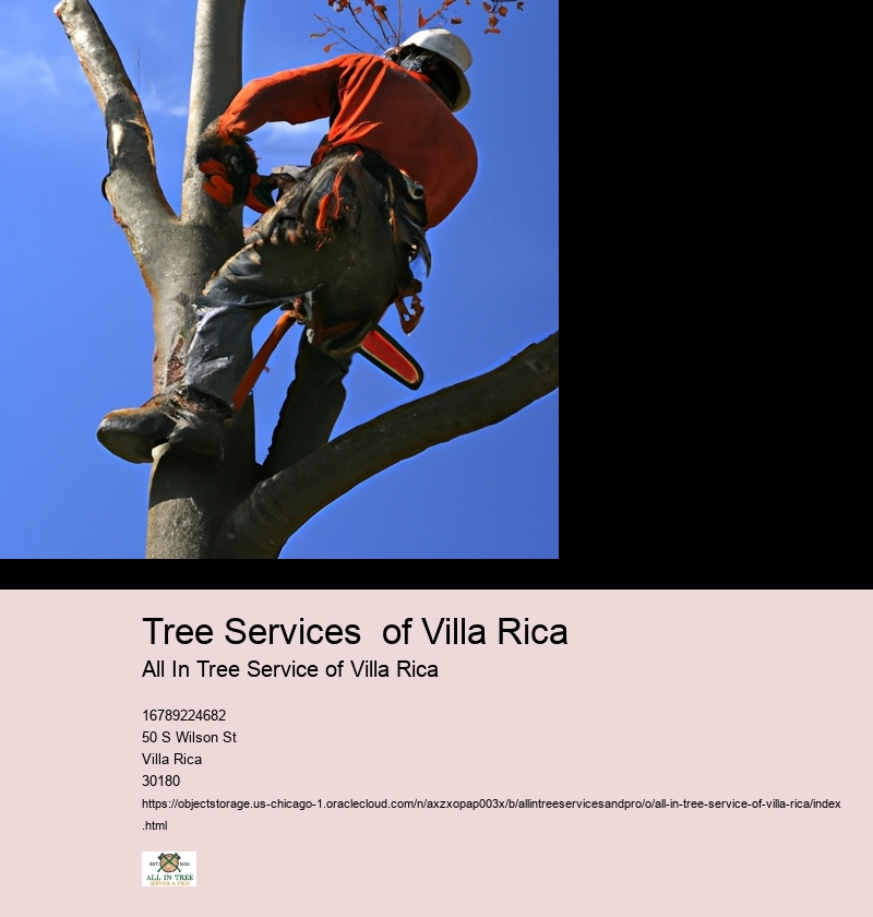 Tree Services  of Villa Rica