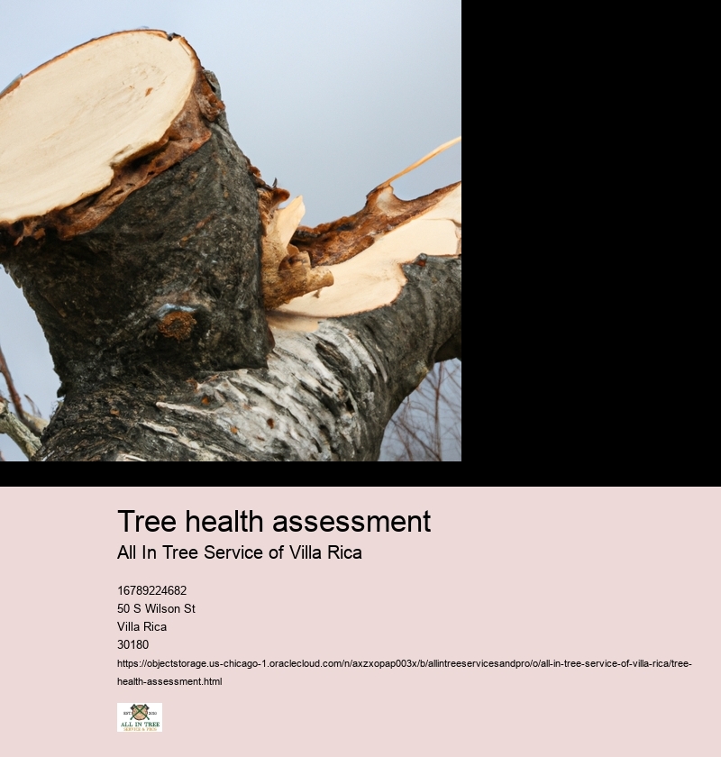 Tree health assessment