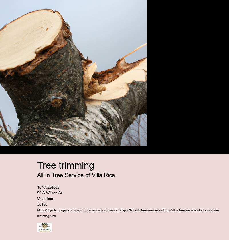Tree trimming