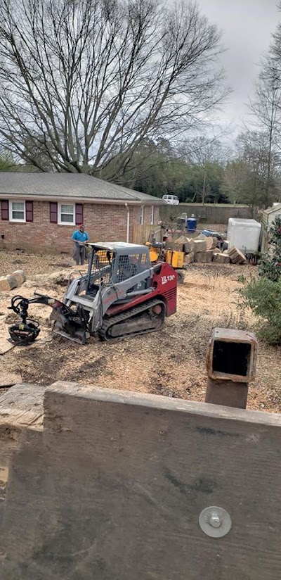 Benefits of professional tree removal services