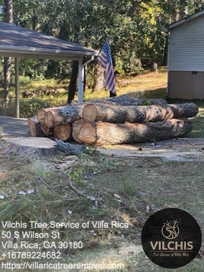 Safety precautions to consider while trimming trees