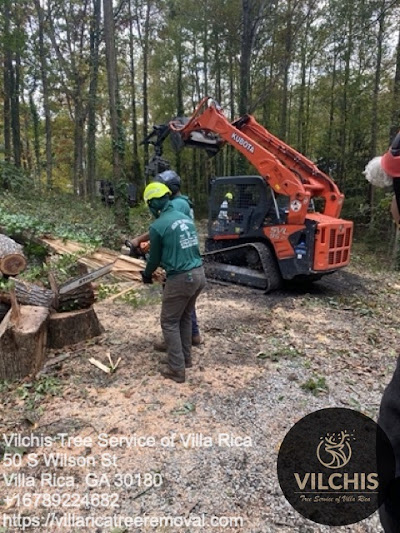 Safety precautions when using a stump grinder