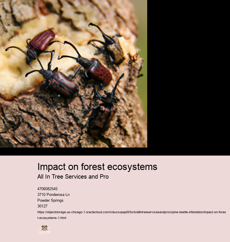 Impact on forest ecosystems