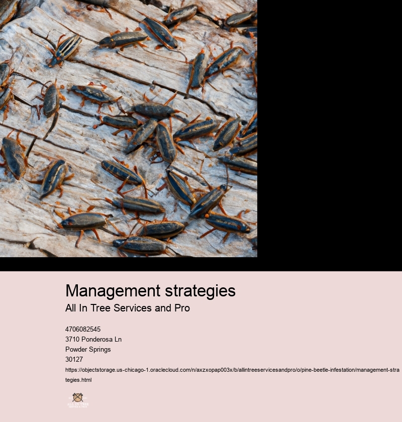 Management strategies