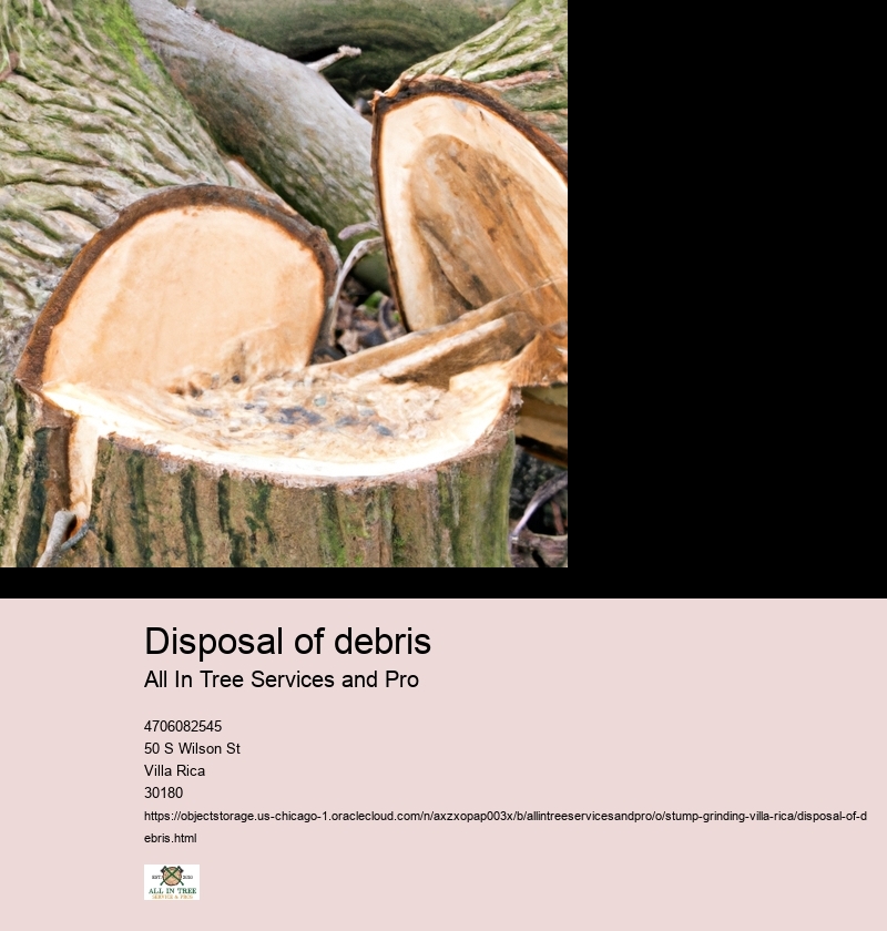 Disposal of debris