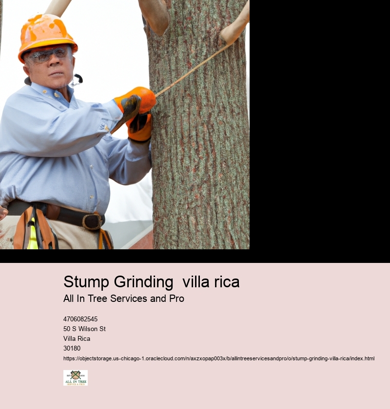 Stump Grinding  villa rica