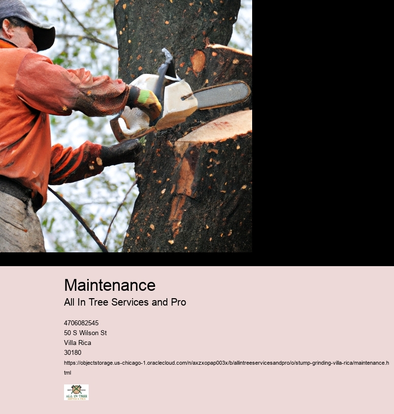 Maintenance
