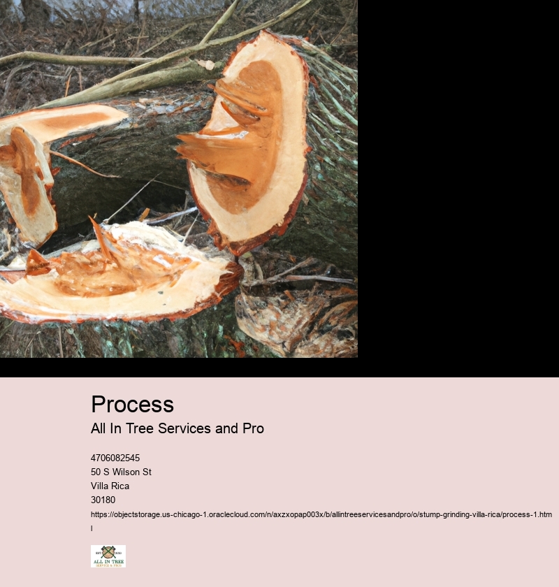 Process