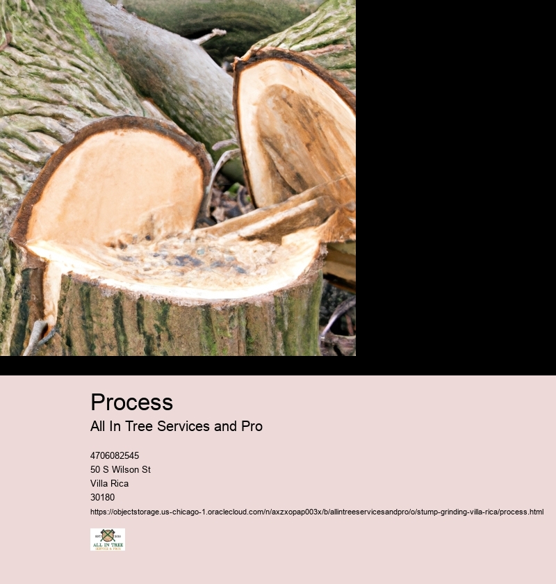 Process