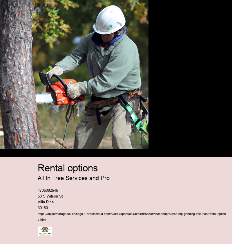 Rental options