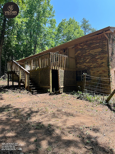 Steps involved in the tree removal process