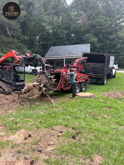 Potential risks and challenges associated with DIY tree removal