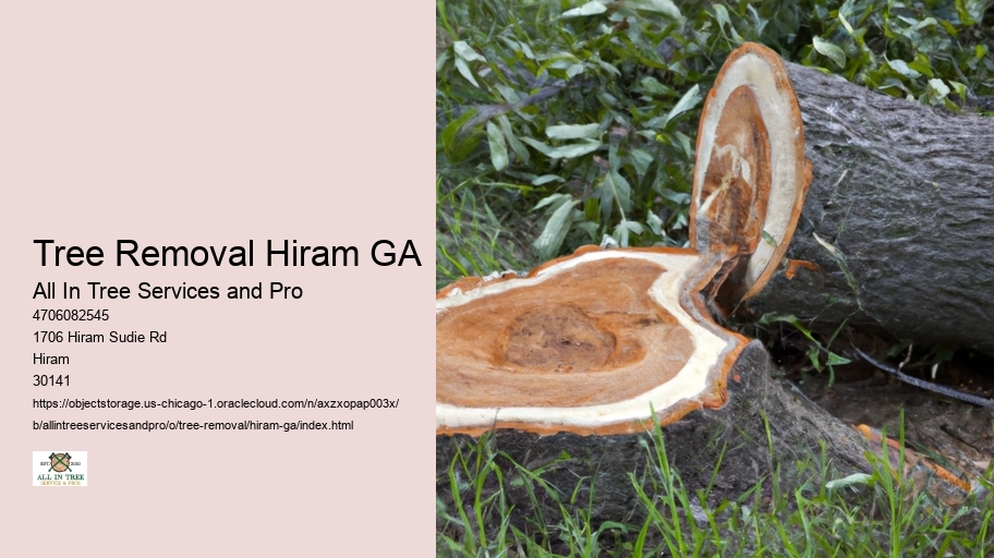 Tree Removal Hiram GA