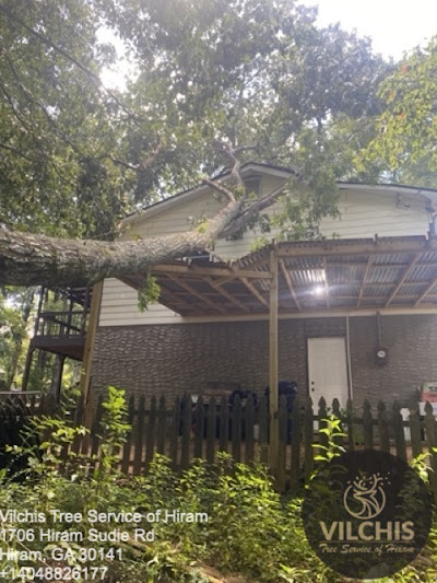 Cost considerations for tree removal services in Hiram GA