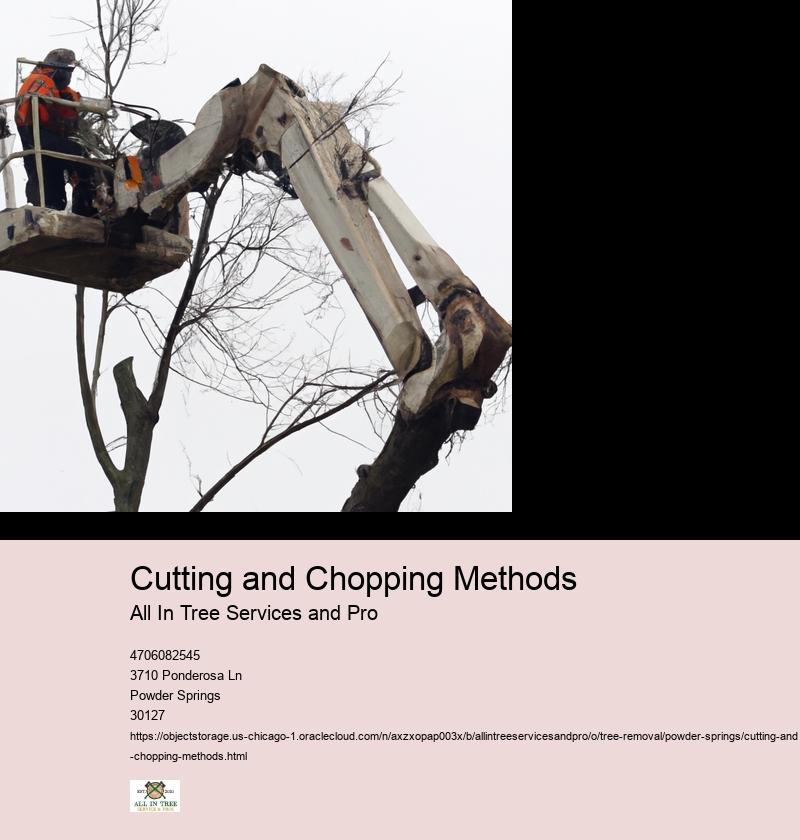 Cutting and Chopping Methods
