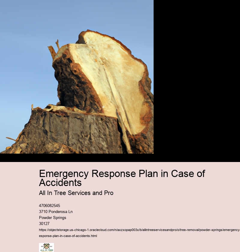 Emergency Response Plan in Case of Accidents