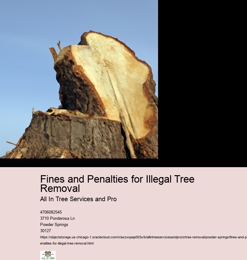 Fines and Penalties for Illegal Tree Removal