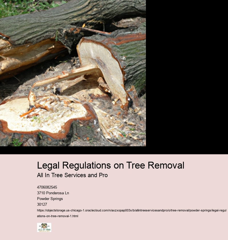 Legal Regulations on Tree Removal