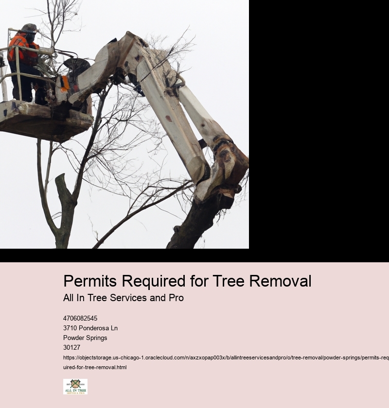 Permits Required for Tree Removal