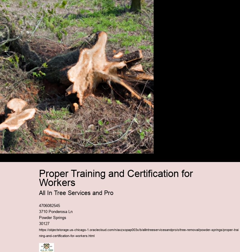 Proper Training and Certification for Workers