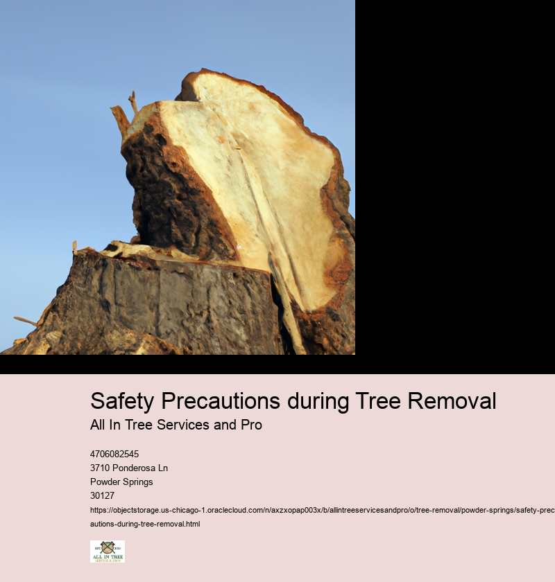 Safety Precautions during Tree Removal