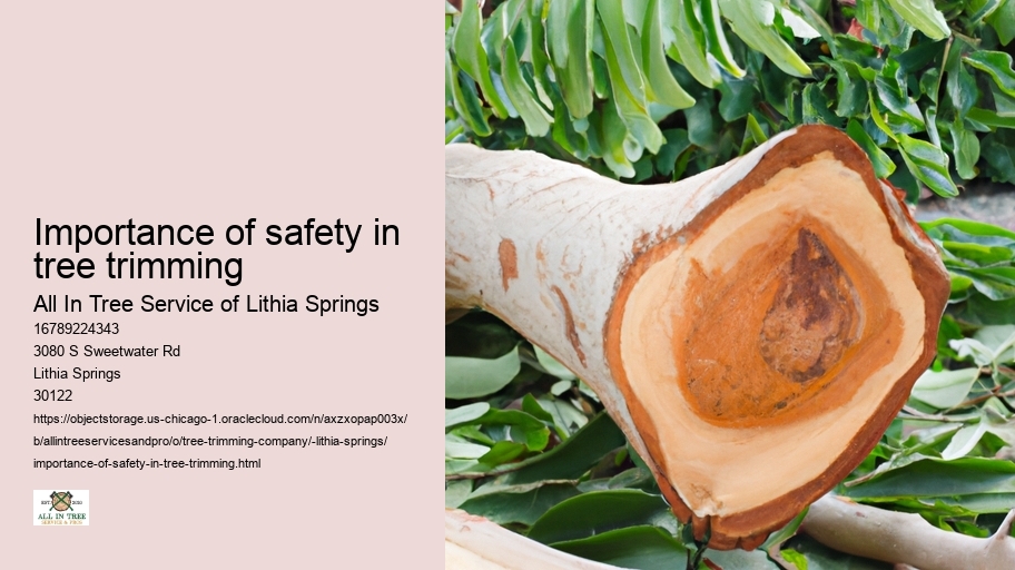 Importance of safety in tree trimming