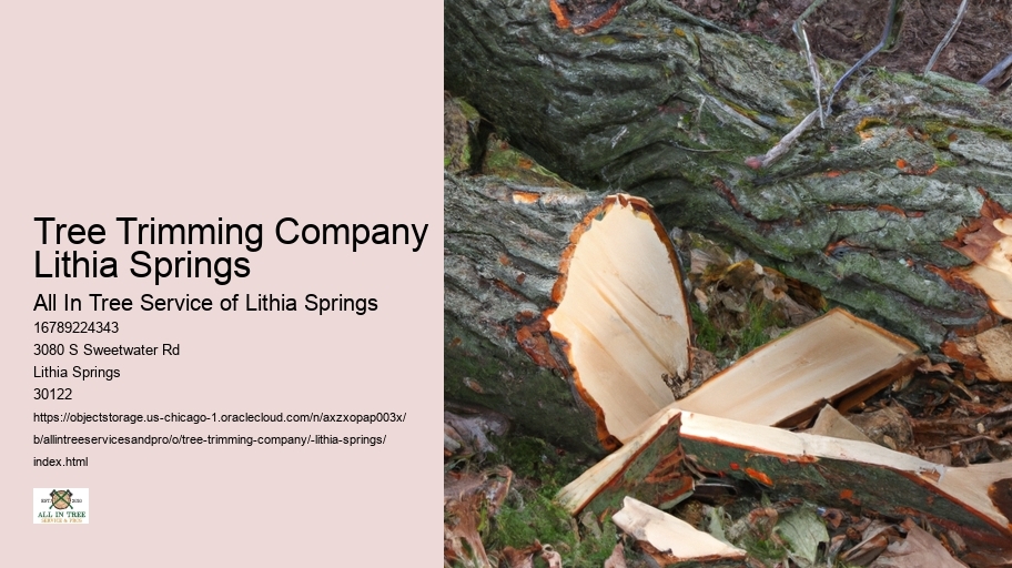 Tree Trimming Company Lithia Springs