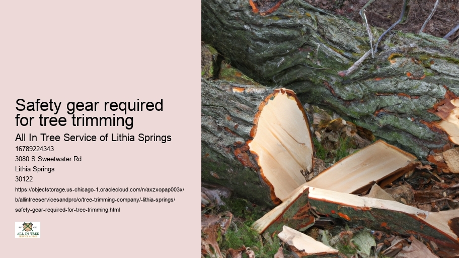 Safety gear required for tree trimming