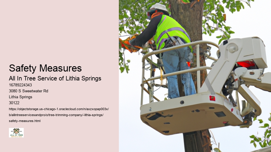 Safety Measures