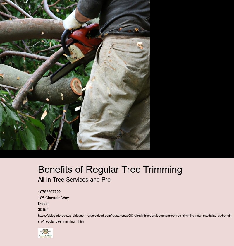 Benefits of Regular Tree Trimming