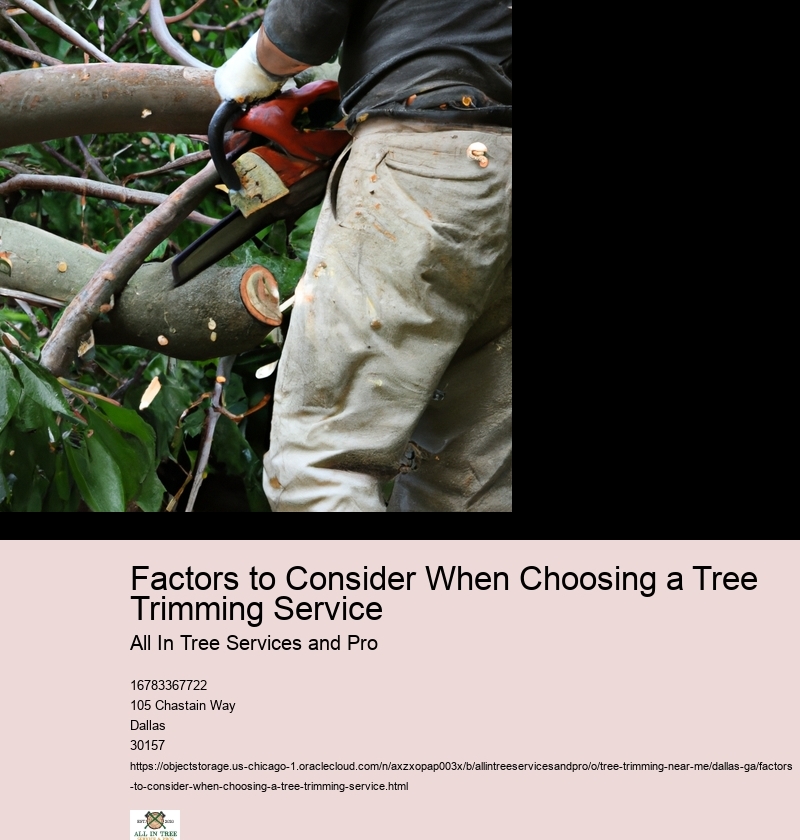 Factors to Consider When Choosing a Tree Trimming Service