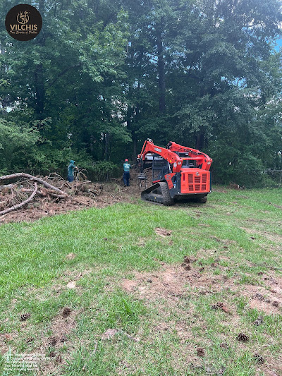 Strategies for increasing the availability of certified arborists
