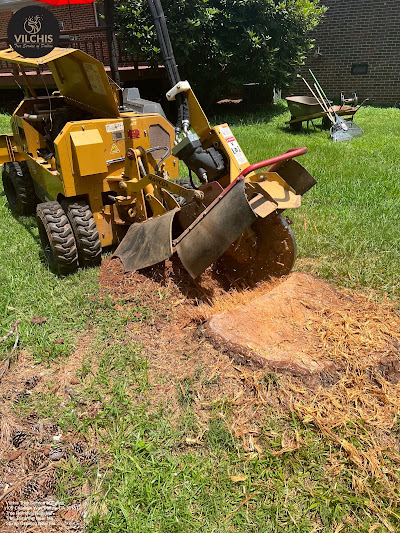 Discussion on the benefits of hiring a certified arborist