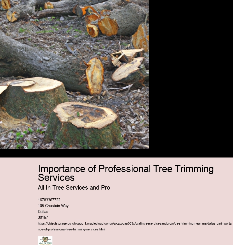 Importance of Professional Tree Trimming Services