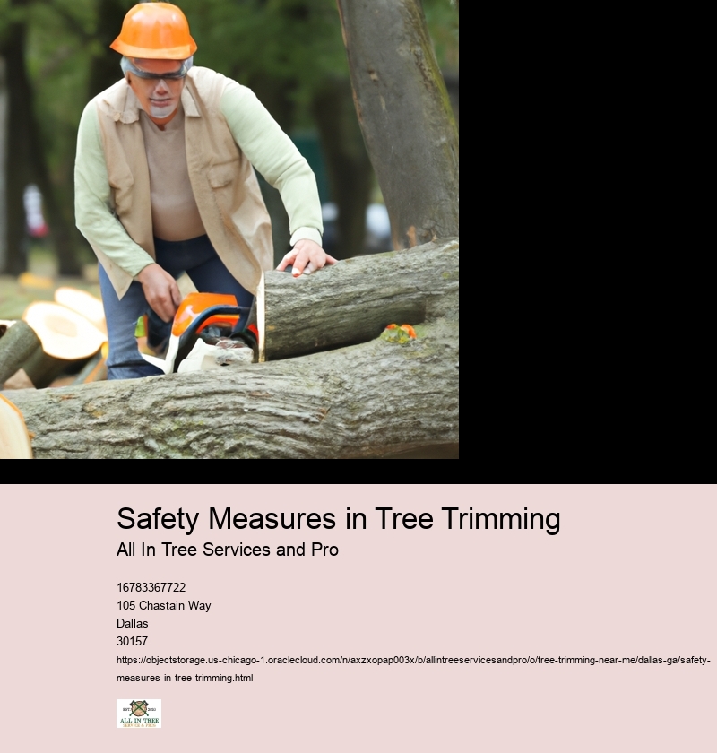 Safety Measures in Tree Trimming