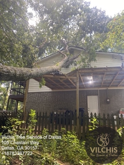 Challenges in finding and hiring certified arborists